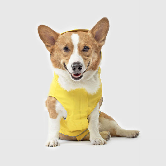 corgo rain jacket